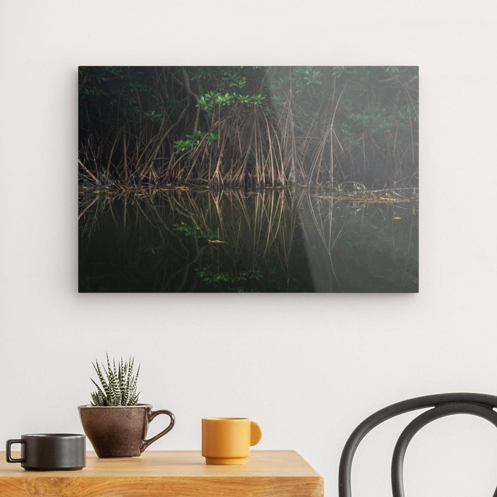 Mangrove & Reflets