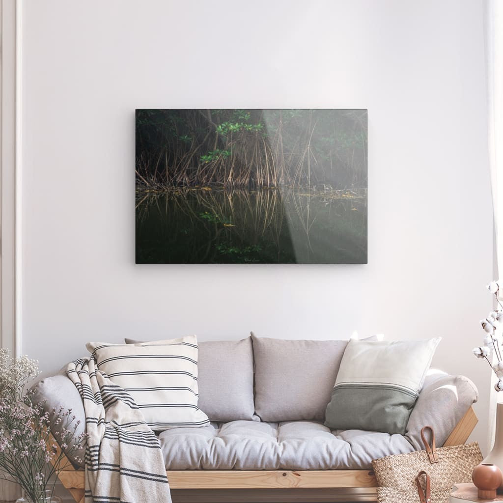 Mangrove & Reflets