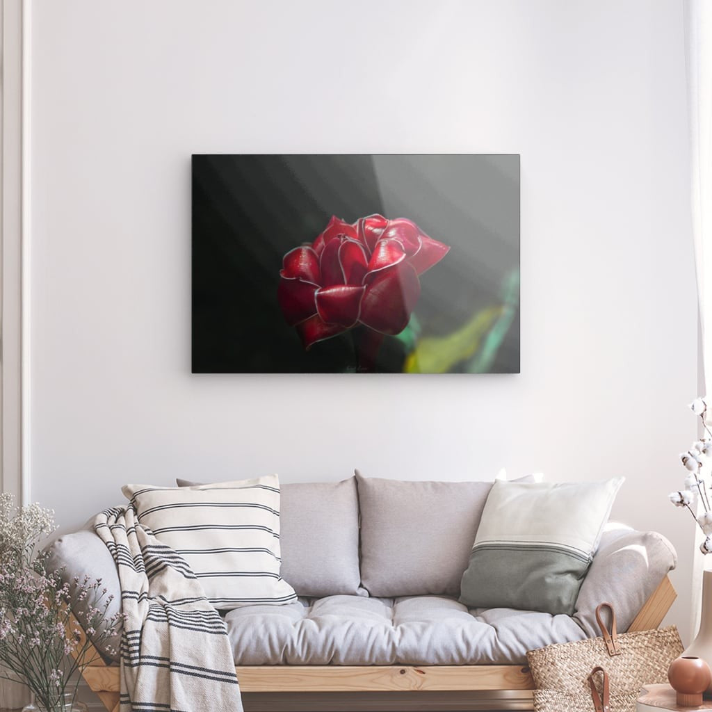 Rose de Porcelaine