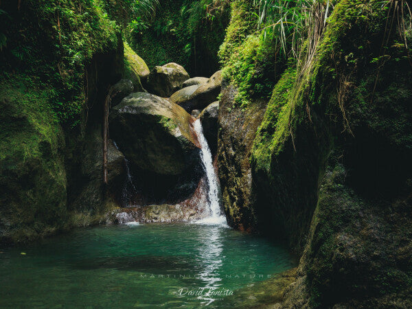 Les Gorges de l'Alma