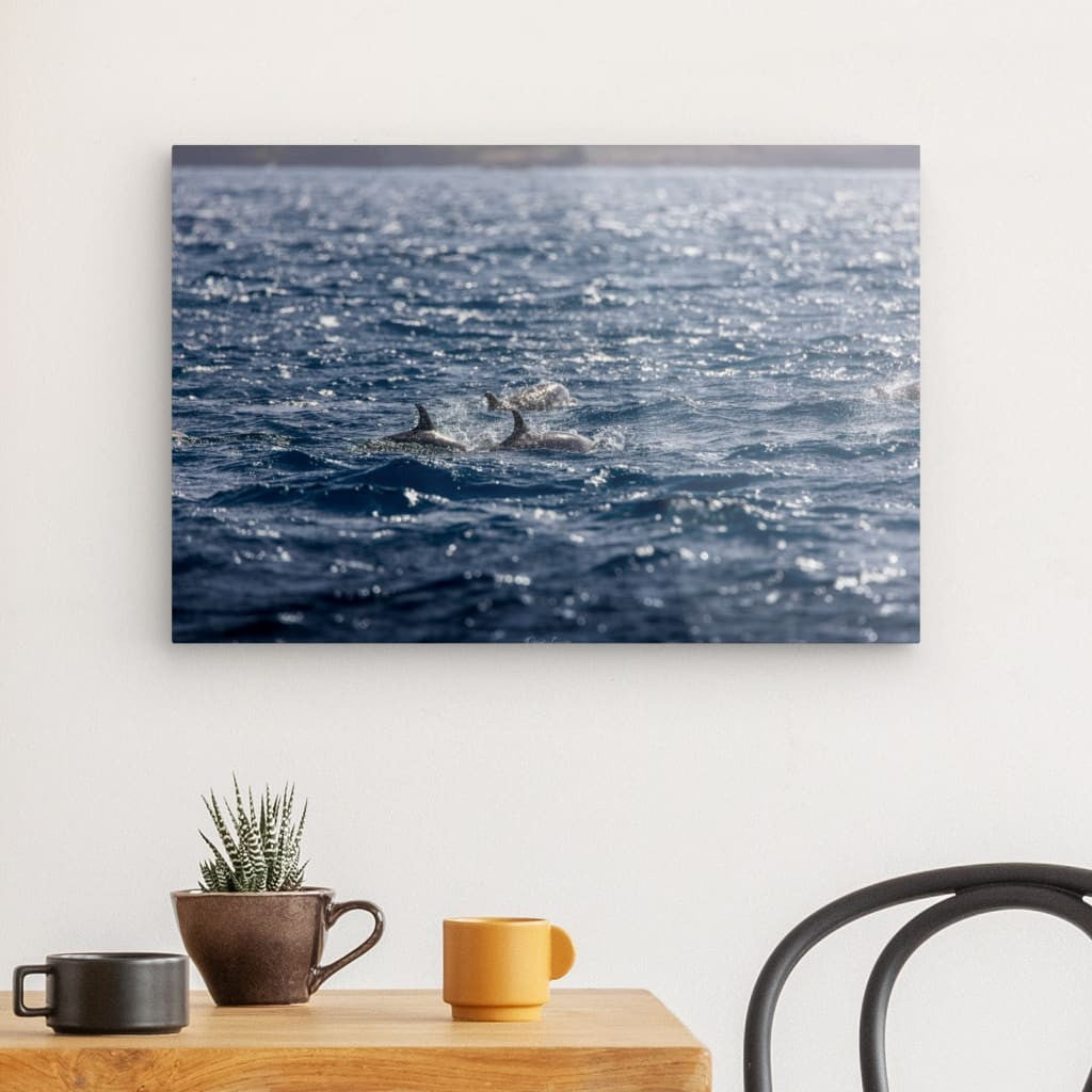 Dauphins au large de la côte Caraïbe